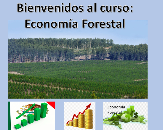 Economía Forestal
