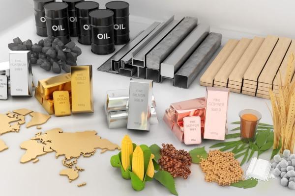 Tipología del Producto